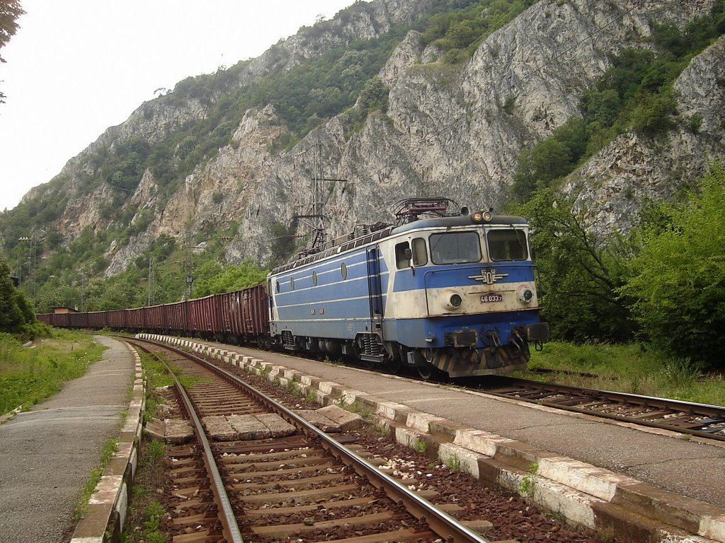 Мечка на товарен