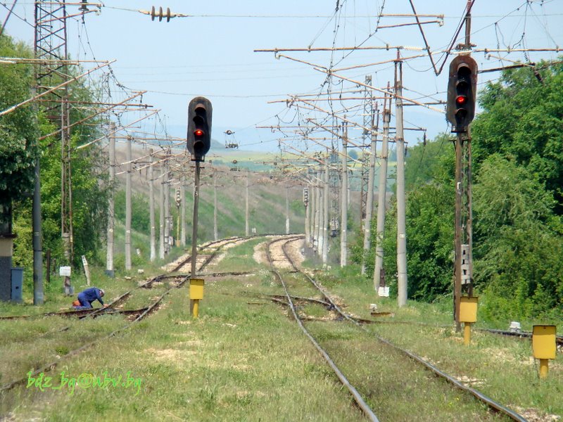 Стрелки & жега