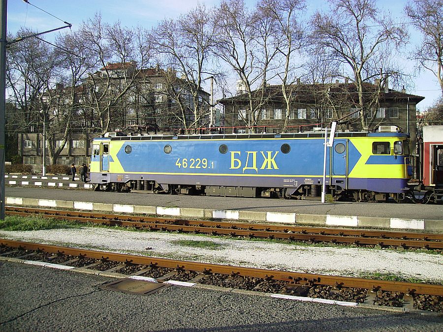 46 229