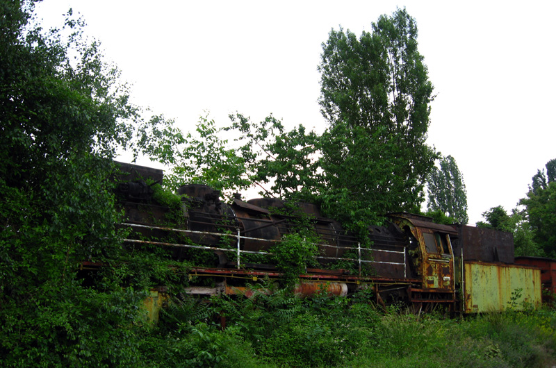 В бъзака