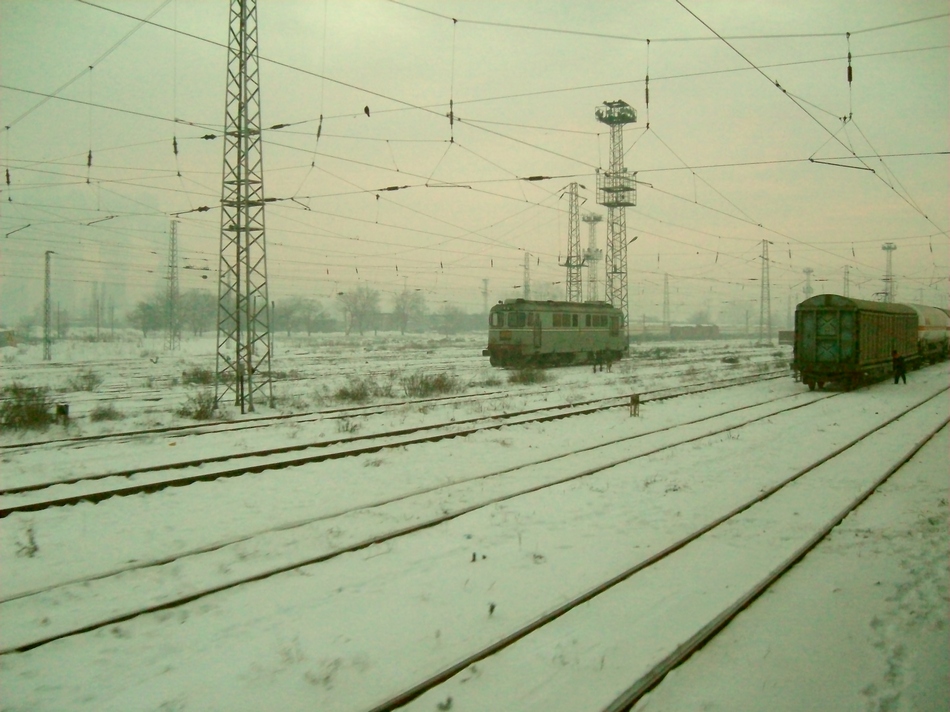 Румънски гост в коледно зимно утро на 2009