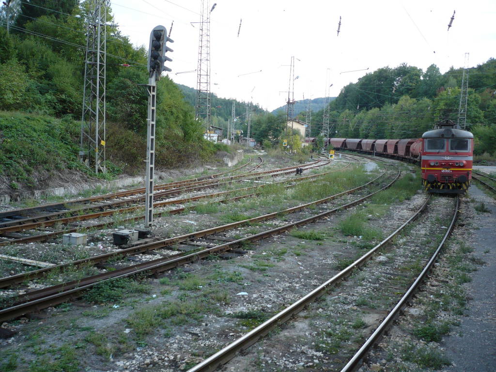 45202
