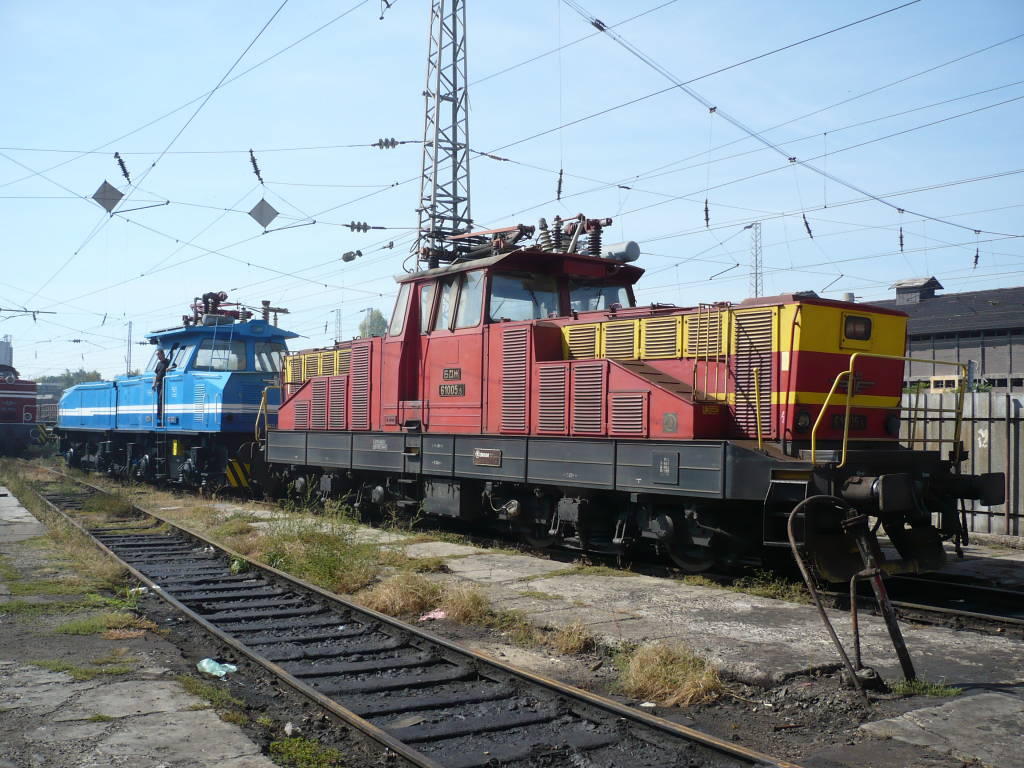 61005 закачена с лебеда