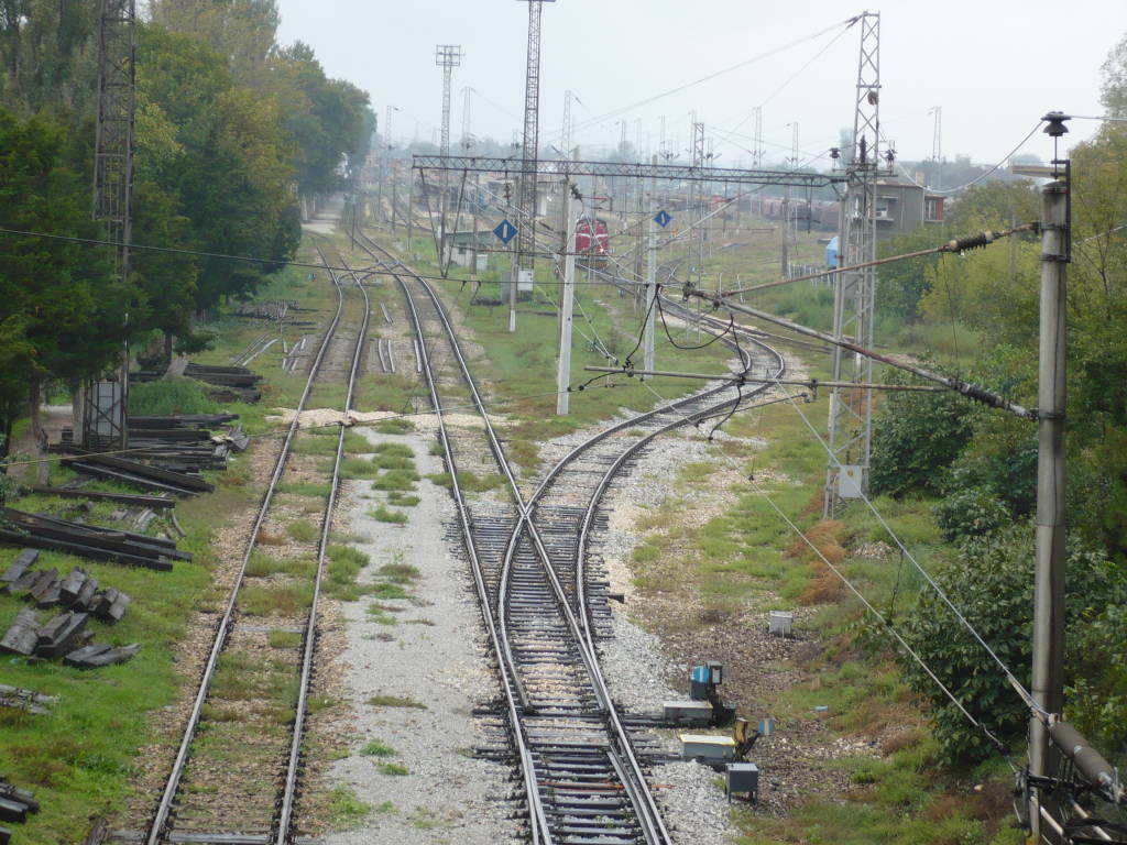 коловозно развитие