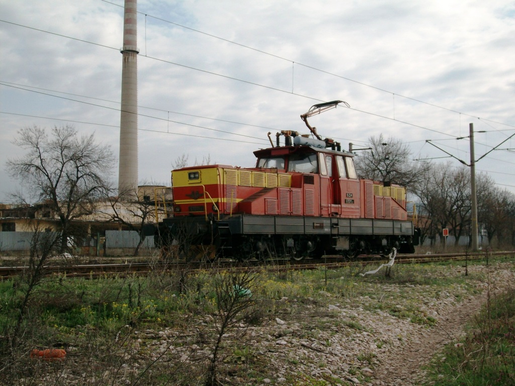 самотния паток