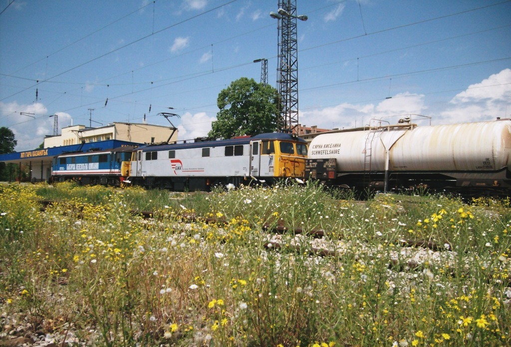 бжк и зеленината