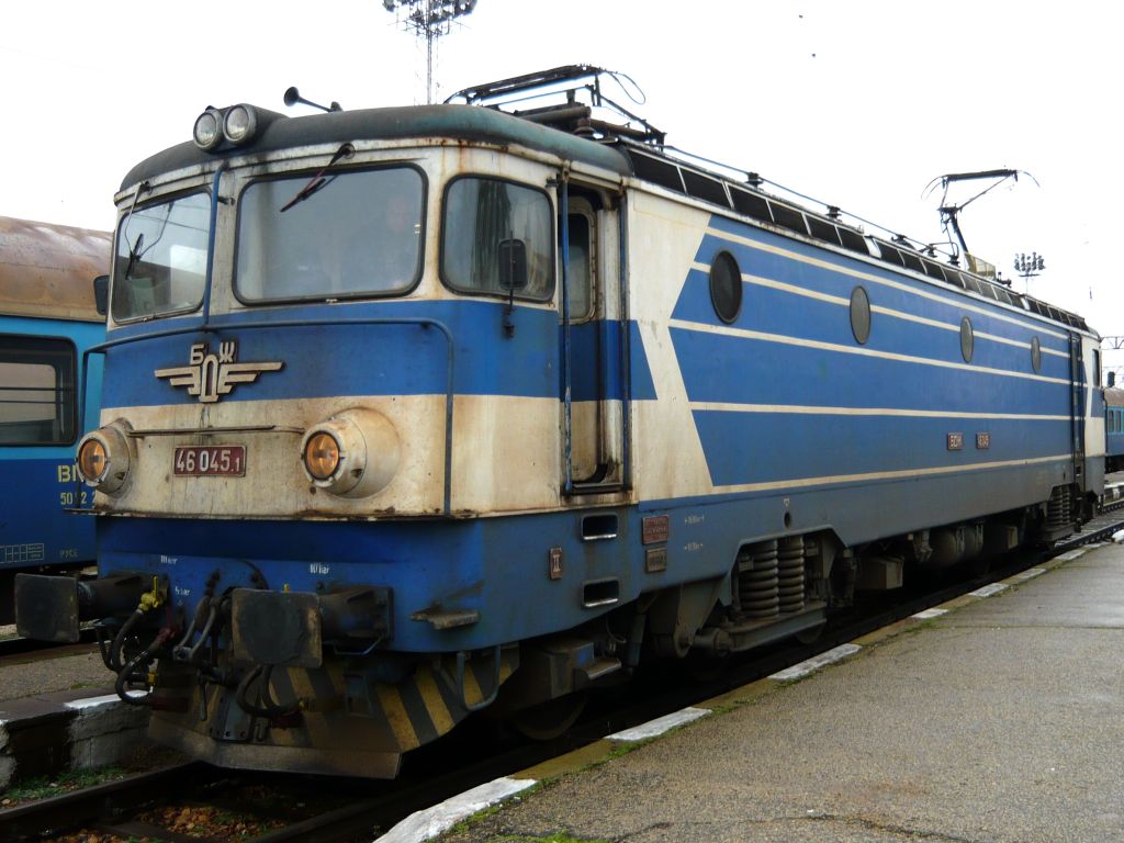 46045