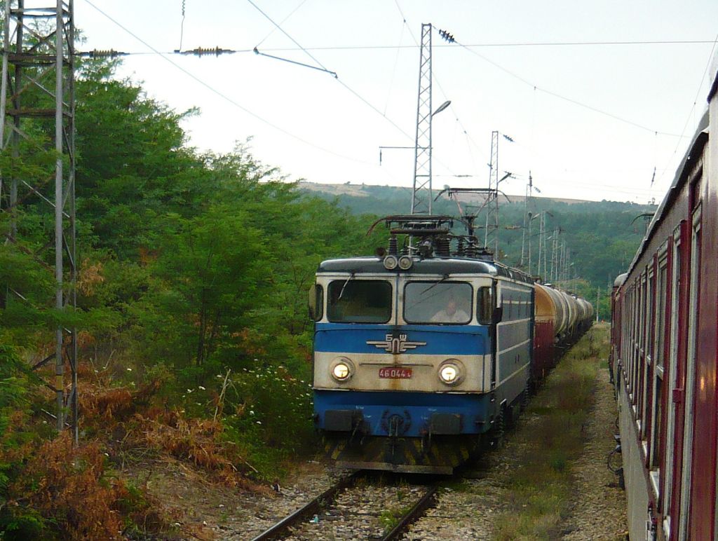 46044