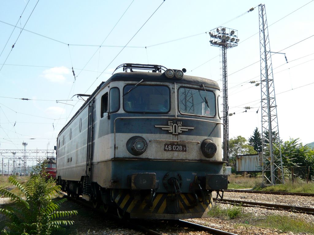 46028