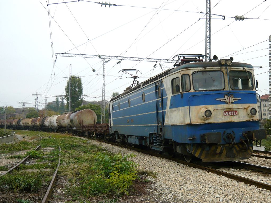 46033