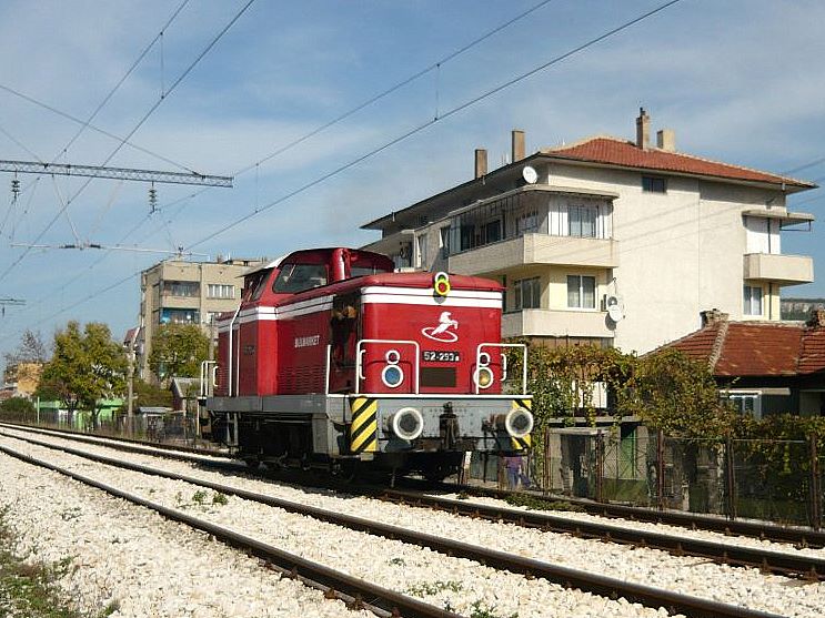 52293