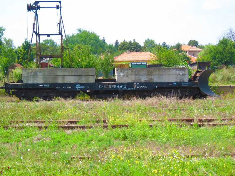 Снегорин