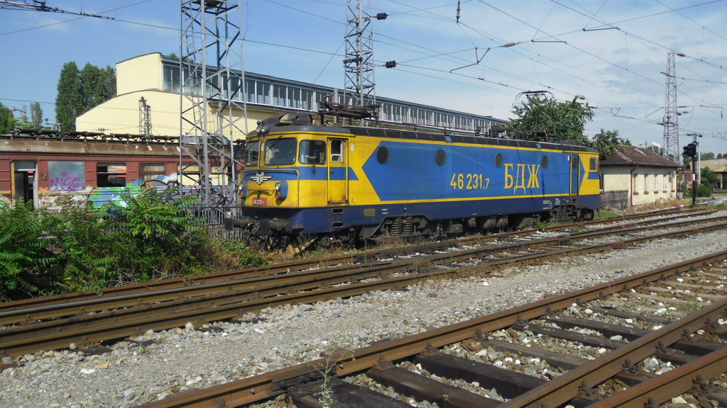 46 231.7